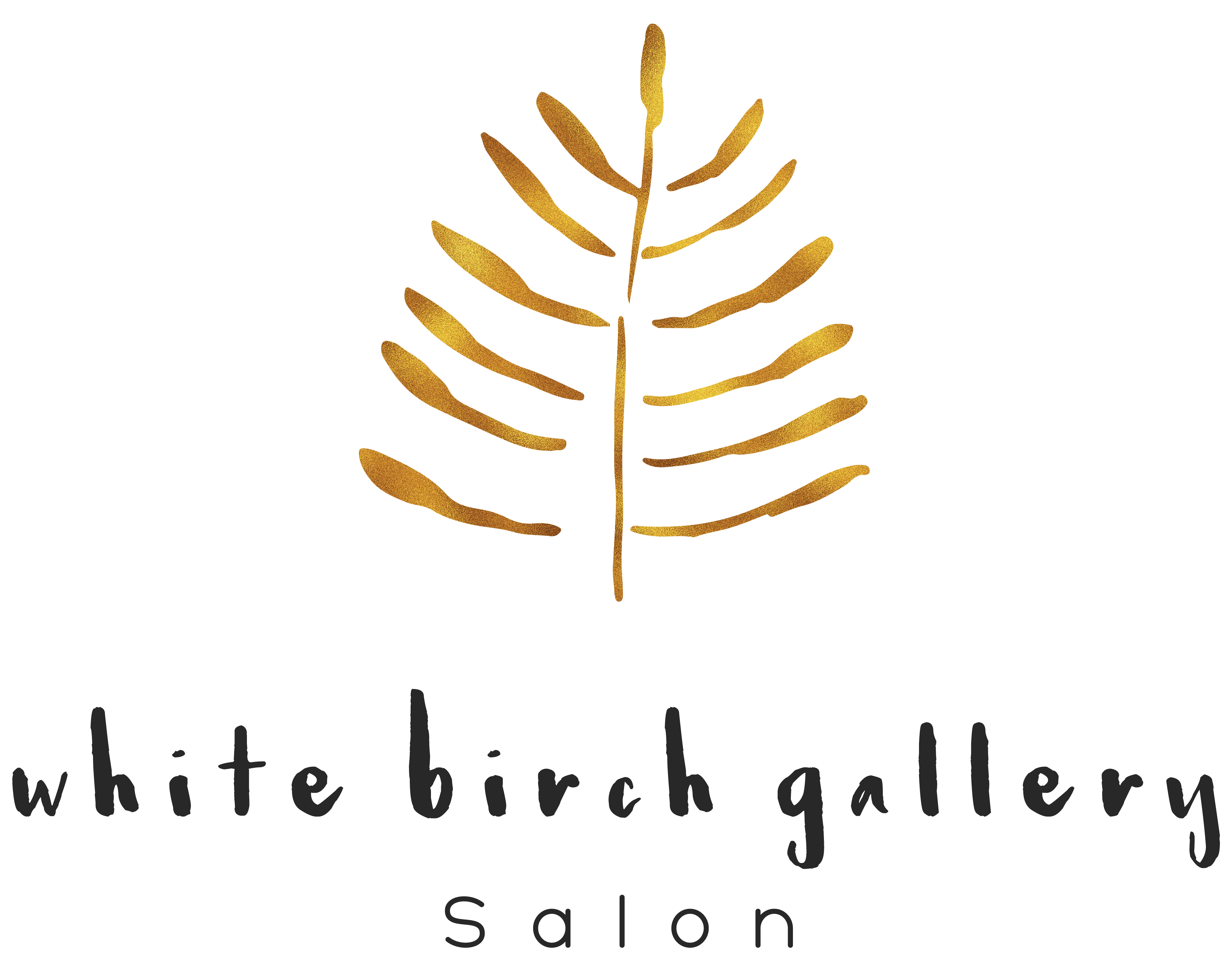 White Birch Gallery Salon In Concord NH | Vagaro