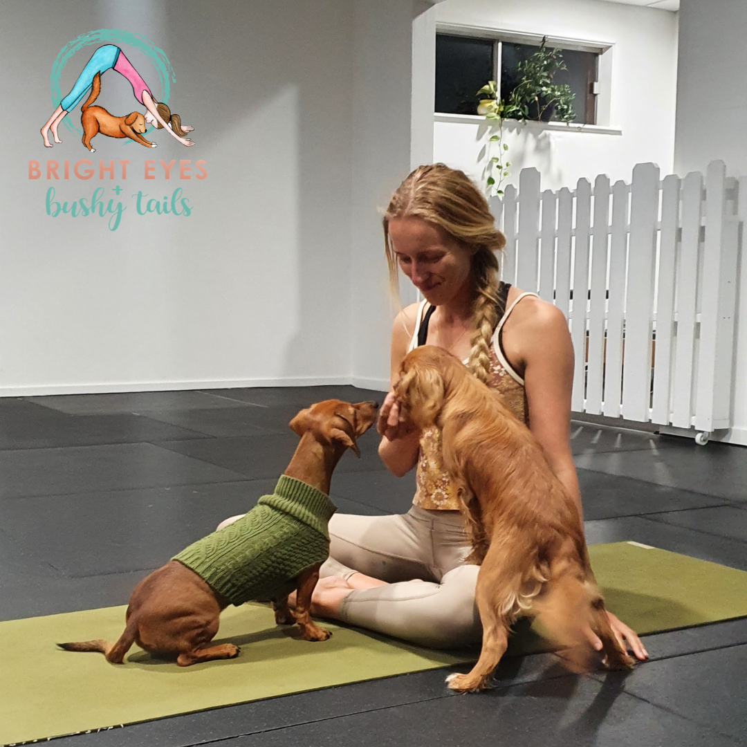 Professionals In Blackbutt NSW Au Vagaro professionals-in-blackbutt-nsw-au-vagaro