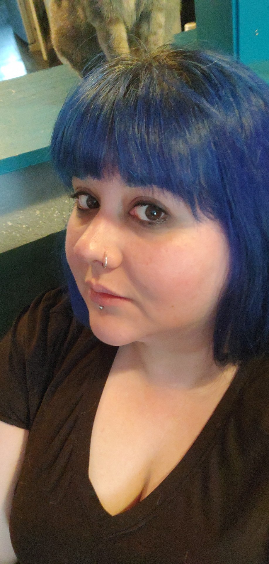 special effects hair dye blue velvet unbleached