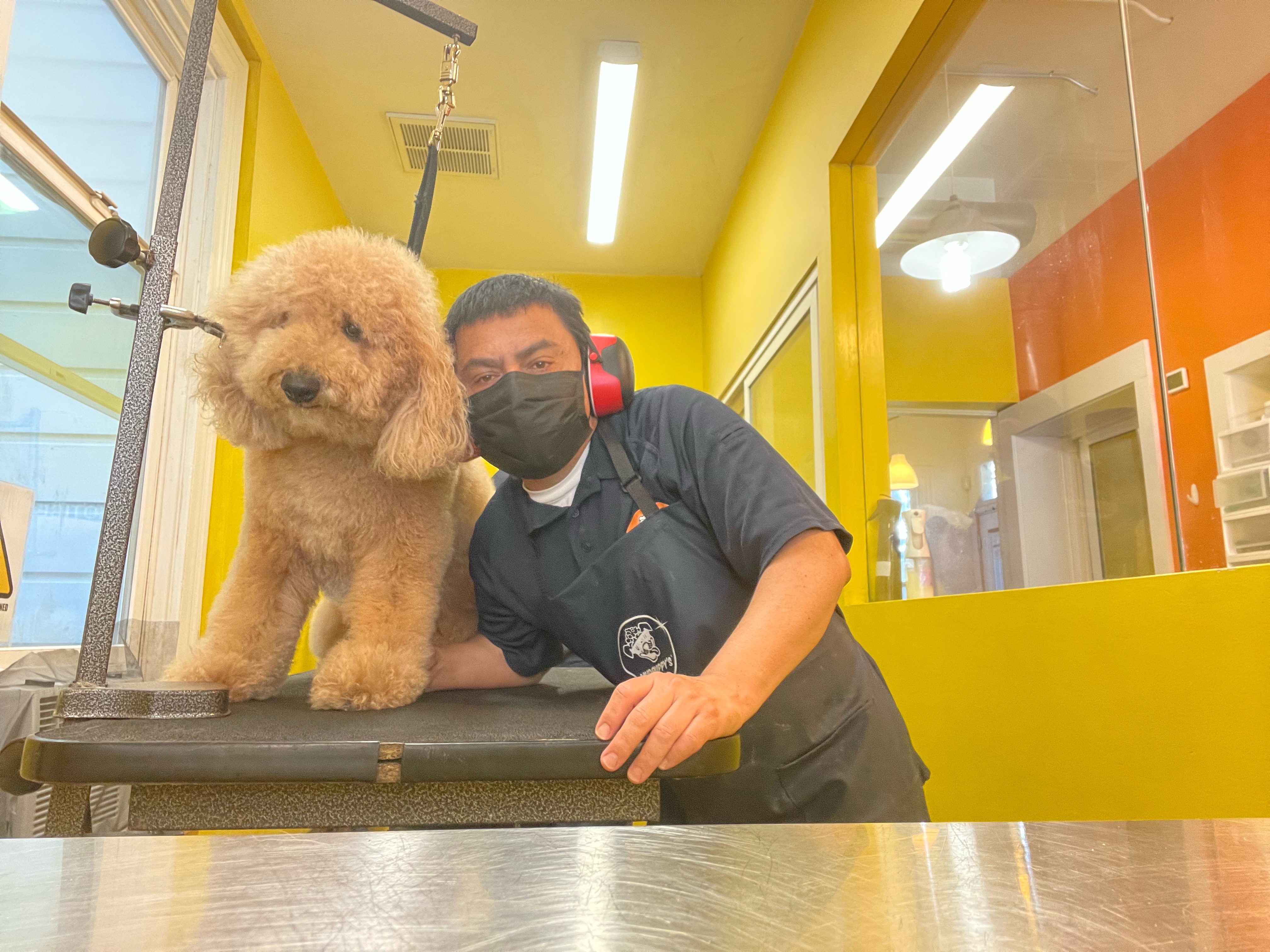 Pet Grooming Professionals in San Rafael CA Vagaro